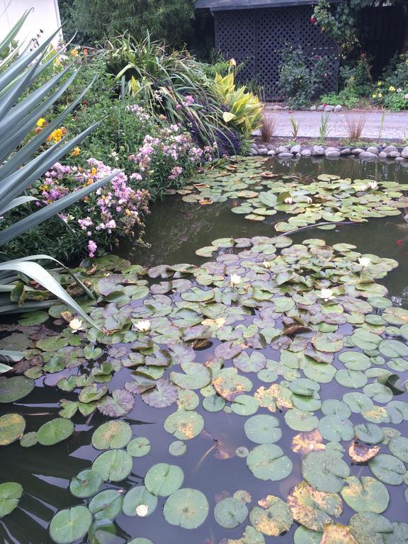 Water Lily Garden Bed and Breakfast Christchurch Eksteriør billede